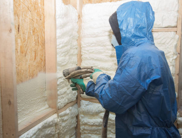 Professional Insulation in East Renton Highlands, WA